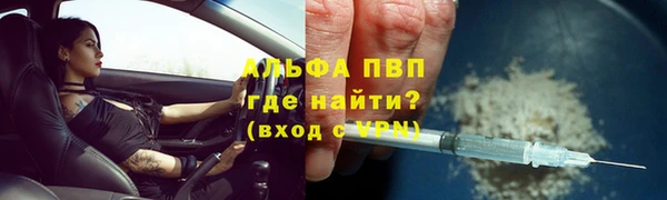 крисы Алексин