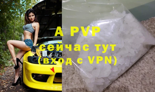 крисы Алексин